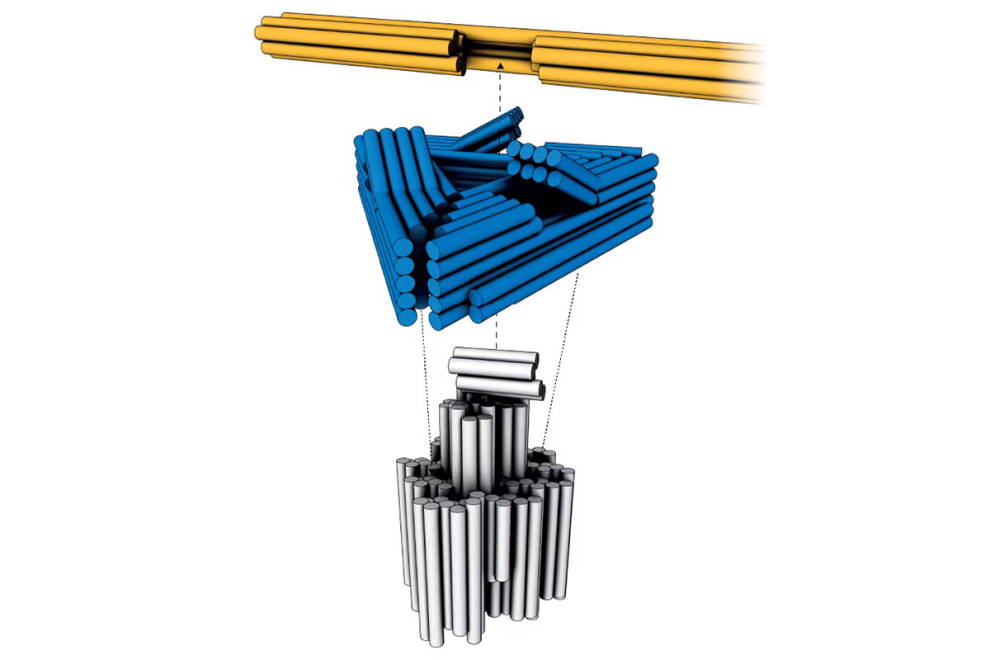 DNA-based electric motor