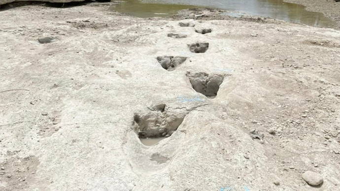 Dinosaur footprints have been discovered in the sediment of a dry riverbed in Texas, United States