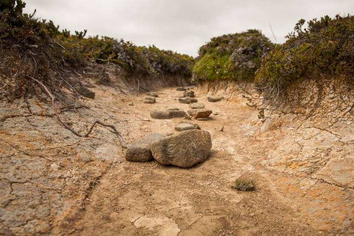 Extreme weather conditions expose the “stones of hunger,” which inspire the plea, “If you see me, weep”