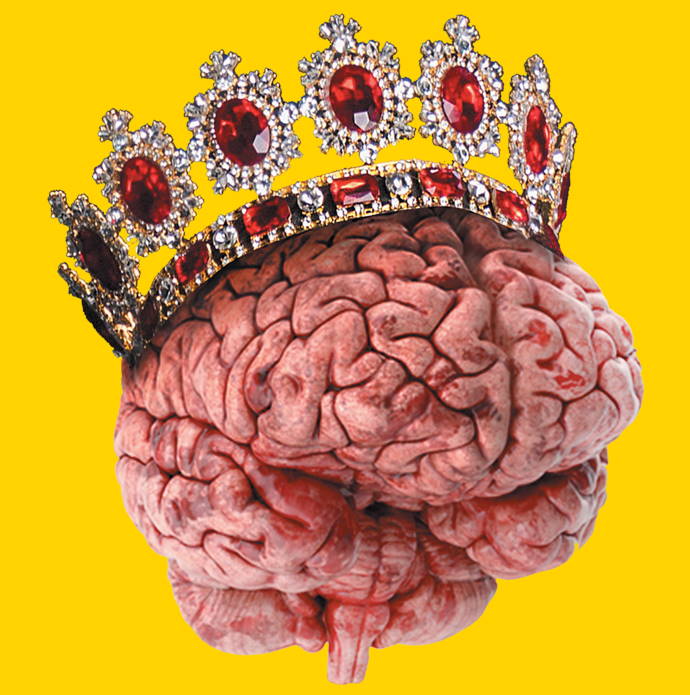 Do those who have larger brains have a higher IQ?